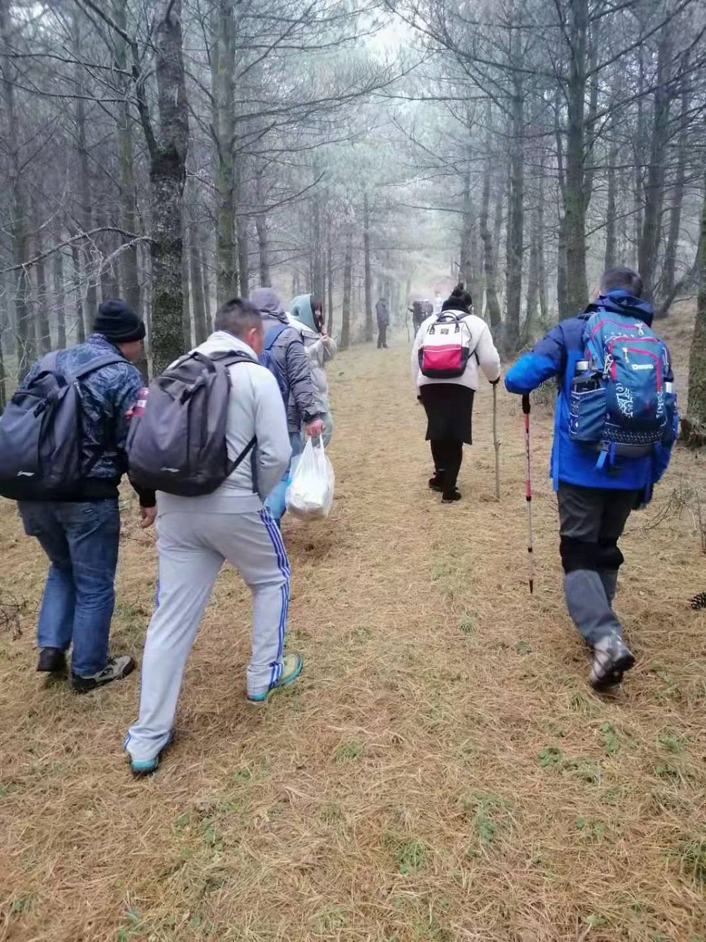 一程風雨一程山水，一樹花開一樹人間